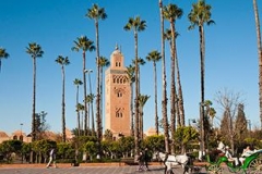 jardin-de-la-koutoubia_