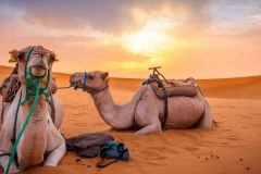 camel-trek_morocco-sahara-Merzouga